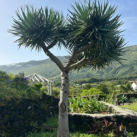 דירה Ca Por Casa Pico-vinhatico São Roque do Pico